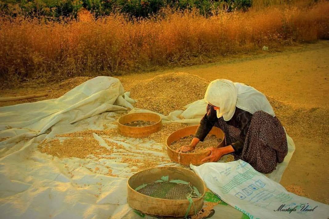 Konya’da kuraklığın içine çizilmiş harman portresi 11